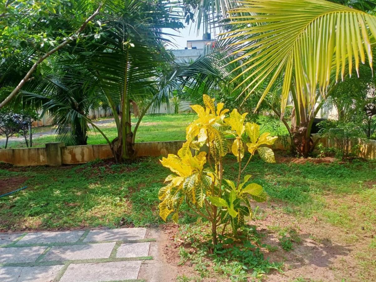 Sinai Homestay Alappuzha Exteriér fotografie